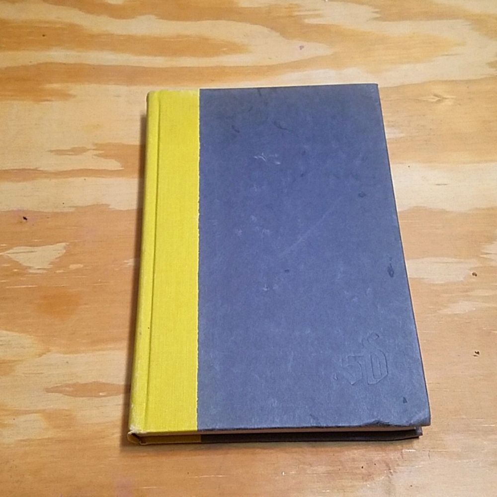 The Dark Shore vintage book by Susan Howatch